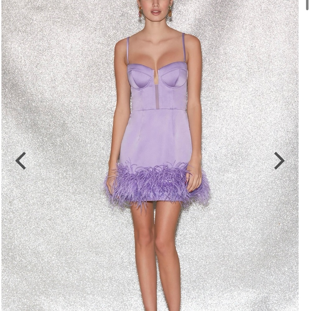 Fleur du Mal Feather Embellished Bustier Dress — Silk, Lilac, Size 4, NWT